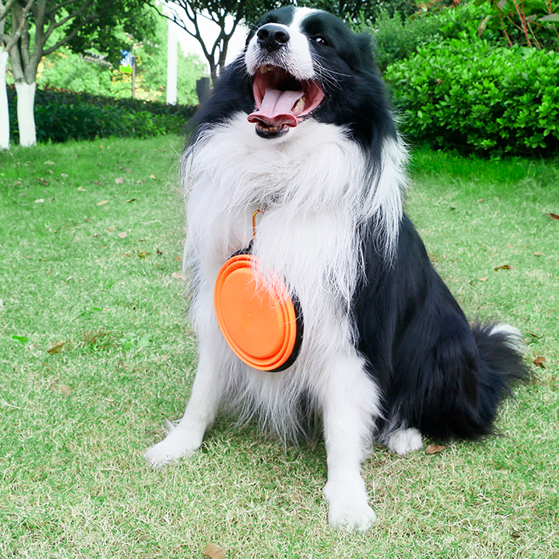 Ezprogear 64 oz Stainless Steel Dog Bowl - Double Wall Insulated Pet Bowl with Non-Slip Bottom & Collapsible Travel Bowl