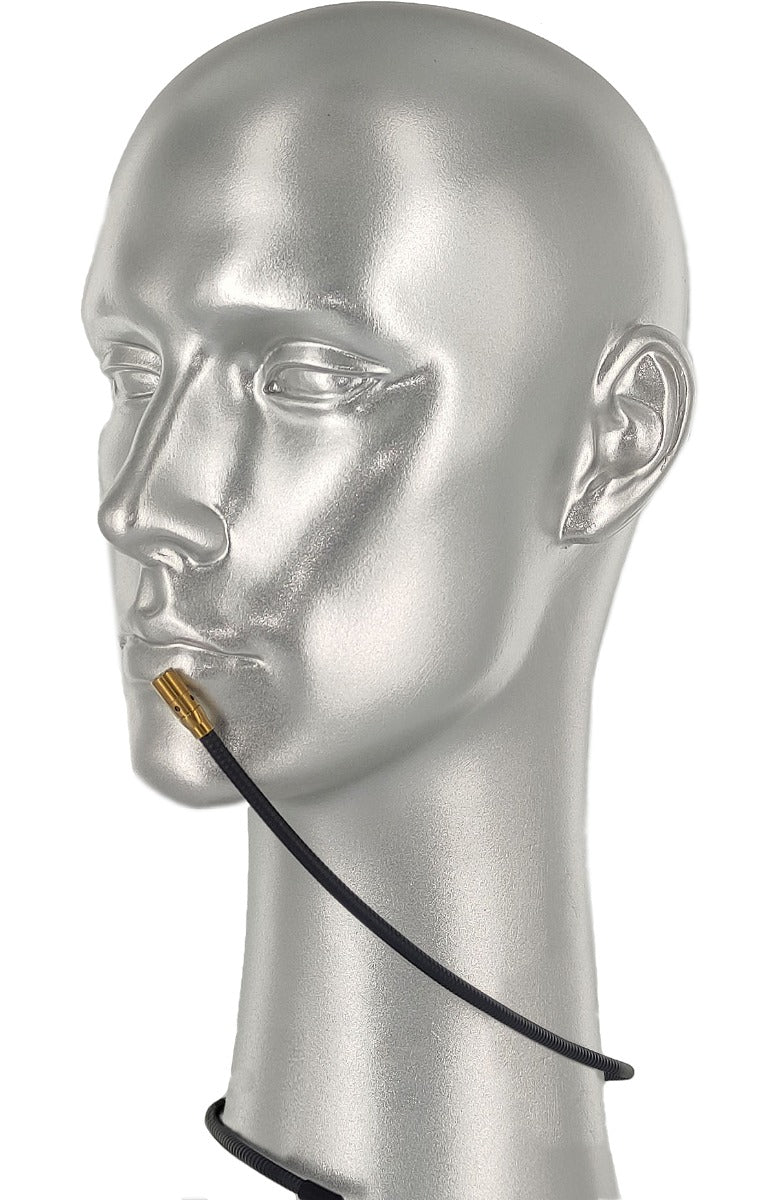 Rannsgeer Lightweight Gooseneck Bendable Collar Neck Microphone for Harmonica Flute (for Sennheiser)