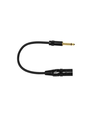 Audio2000's E05101 1Ft 1/4" TS To XLR Male Cable