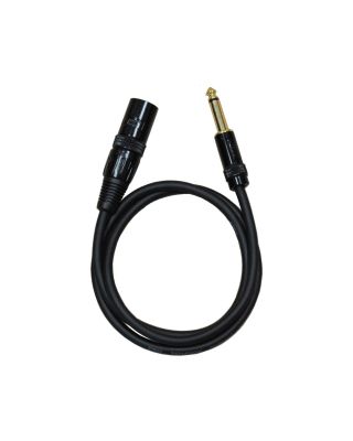 Audio2000's E05103 3Ft 1/4" TS To XLR Male Cable