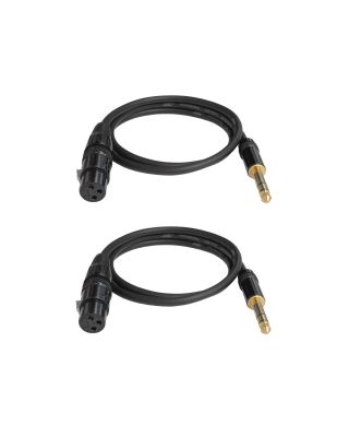 Audio2000's E06103P2 3Ft 1/4" TRS to XLR Female Audio Cable (2 Pack)