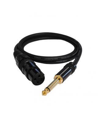 Audio2000's E07103 3Ft 1/4" TS To XLR Female Microphone Cable