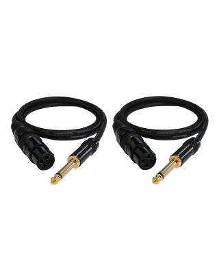 Audio2000's E07103P2 3Ft 1/4" TS To XLR Female Microphone Cable (2 Pack)