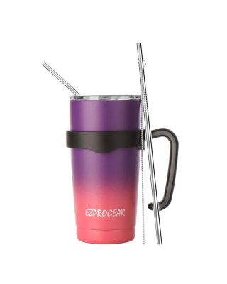 Ezprogear 20 oz Grape/Punch Stainless Steel Tumbler Double Wall Vacuum Insulated with Straws and Handle 