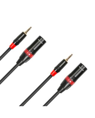 Rannsgeer R7B01P2 3.5mm TRS Stereo Male to XLR Male 2 Pack 1 Feet Cable