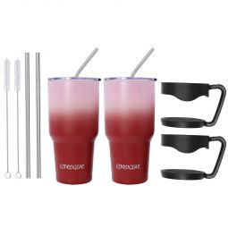 Ezprogear 30 oz 2 Pack Pink Carnation/Red Cherry Stainless Steel Tumbler Double Wall Vacuum Insulated with Straws and Handle