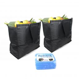 Ezprogear 2 Pack Reuseable Insulated Grocery Cooler Bag with Ice Pack EZB-GICE-2P